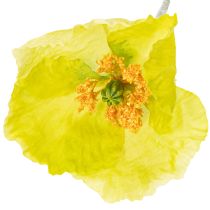 tételeket Műpipacs dekoráció nappaliba és irodába, 95 cm