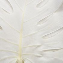 tételeket Monstera levelek fehérített díszes ablaklevél M40cm 5 db