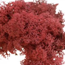Dekoratív moha kézműves munkákhoz Piros színű natúr moha 40g-os tasakban