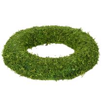 tételeket Dekoratív moha koszorú szezonális kompozíciókhoz és egyedi tervezéshez, 15 cm, 6 darab