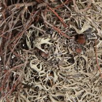 tételeket Természetes moha koszorú szürke Ø30cm - Dekoratív koszorú asztal- és ajtódíszítésre, őszi és karácsonyi dekorációra