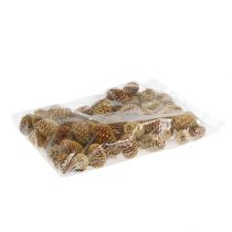 tételeket Sabulosum toboz krém 500g