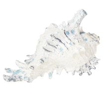 tételeket Kagyló dekoráció Tengeri csiga mesterséges kék-fehér 11,5/13cm 2 db