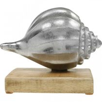 tételeket Kagyló fémből, tengeri dekoráció ezüst elhelyezésre, természetes színek H15cm SZ18,5cm