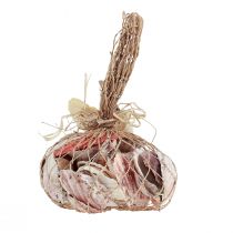 tételeket Kagylódísz valódi kagylók különböző fajták 300g