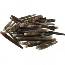 tételeket Dekoratív kagylók Sün tüskék, tengeri sün tüskék, tengeri dekoráció L3-8cm 450g