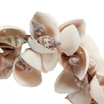 tételeket Kagylókoszorú kagylódísz függő dekoráció tengeri Ø33cm 60cm