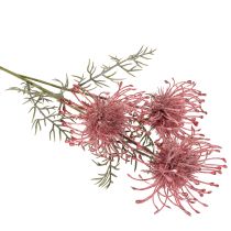 tételeket Művirág tűpárna protea virágzó ág 65cm 3db