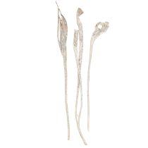 tételeket Natraj Antler Wood Mix White Washed 10 db