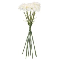 tételeket Műszegfű szárral csokrokhoz és koszorúkhoz, 56 cm, 8 darab