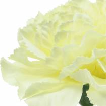 tételeket Szegfű virág fehér Ø9cm 12db