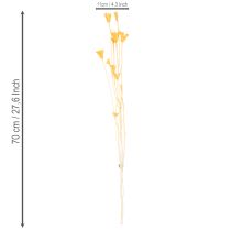 tételeket Nigella szárított virágkompozíció hosszú távú használatra. Elegáns, szemet gyönyörködtető. 70 cm 50 g