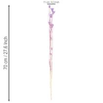 tételeket Szárított Nigella virágcsokor, dekoratív nappali dekoráció, egyedi hangulatot teremt, 70 cm, 50 g