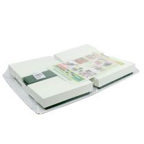 tételeket Virágos habtégla asztaldísz zöld 22cm x 7cm x 5cm 10 db