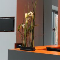 OASIS® Black Table Deco Medi Floral Foam 4db