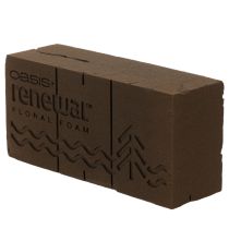 tételeket Oasis Renewal virágmintás habszivacs 23 cm 1 tégla