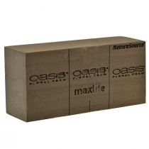 tételeket Oasis NatureSource Maxlife virágos habtégla barna 23×11×7,5 cm 1 db