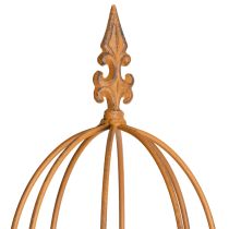 tételeket Kerti rács, kúszónövényekhez és más futónövényekhez, ideális kerttervezés, 108 cm, 2 darabos szett.