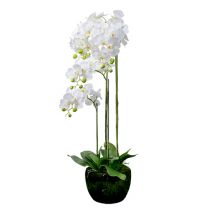 Orchidea fehér gömbbel 110cm