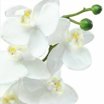 Orchidea fehér 77 cm