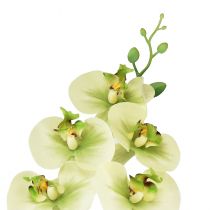 tételeket Orchidea Artificial Yellow Green Phalaenopsis 85cm