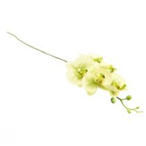 tételeket Orchidea Artificial Yellow Green Phalaenopsis 85cm