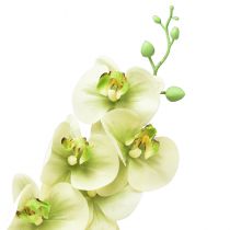 tételeket Orchidea Artificial Yellow Green Phalaenopsis L83cm