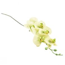 tételeket Orchidea mesterséges sárga zöld Phalaenopsis L83cm