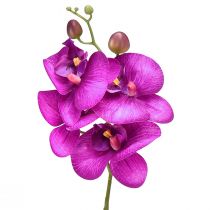 Orchid Artificial Phalaenopsis 4 virág Fukszia 72cm