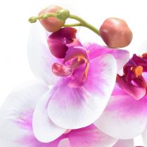 tételeket Orchidea mesterséges Phalaenopsis 4 virág fehér rózsaszín 72cm