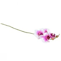 tételeket Orchidea mesterséges Phalaenopsis 4 virág fehér rózsaszín 72cm