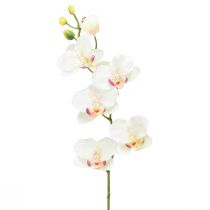 tételeket Orchidea Phalaenopsis mesterséges 6 virágos krém rózsaszín 70cm