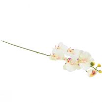 tételeket Orchidea Phalaenopsis mesterséges 6 virágos krém rózsaszín 70cm