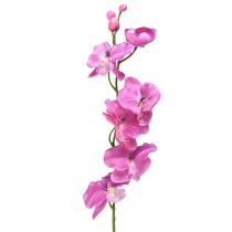 tételeket Orchidea Phalaenopsis mű6 virág lila 70cm