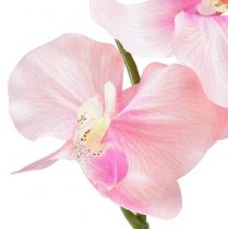 tételeket Orchidea Phalaenopsis mesterséges 6 virág rózsaszín 70cm