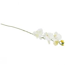 tételeket Orchidea Phalaenopsis mesterséges 6 virágú fehér krém 70cm