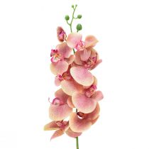 Orchidea Phalaenopsis mű 9 virág rózsaszín vanília 96cm