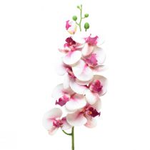tételeket Orchidea Phalaenopsis mesterséges 9 virágú fehér fukszia 96cm