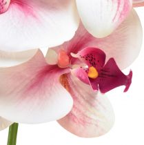 tételeket Orchidea Phalaenopsis mesterséges 9 virágú fehér fukszia 96cm