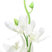 tételeket Orchidea mesterséges Oncidium művirág fehér 90cm