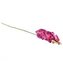 tételeket Orchidea lángos mesterséges Phalaenopsis lila 72cm