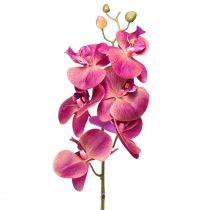 Mesterséges orchidea Phalaenopsis Orchidea fukszia 78cm