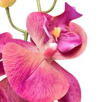 tételeket Mesterséges orchidea Phalaenopsis Orchidea fukszia 78cm