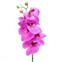 tételeket Mesterséges orchidea Phalaenopsis Orchid Pink 78cm