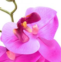 tételeket Mesterséges orchidea Phalaenopsis Orchid Pink 78cm