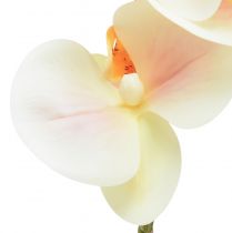 tételeket Mesterséges orchidea krém narancssárga Phalaenopsis 78cm
