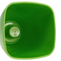 tételeket Orchidea cserép fényes Ø12,5cm lime 1 db