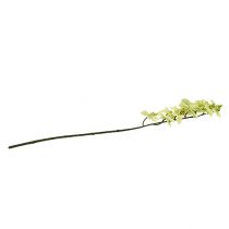 tételeket Orchidea ág világoszöld L58cm