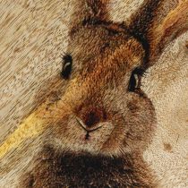 tételeket Húsvéti tányér Fa dekoratív tányér Nyúl natúr tojásban 25x26cm