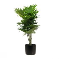 tételeket Pálma dekoratív legyező pálma műnövények cserép zöld 80cm